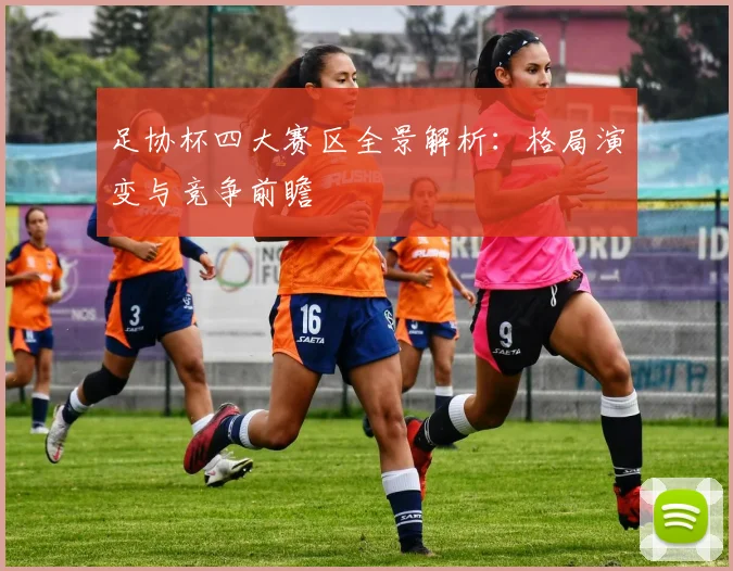 足协杯四大赛区全景解析：格局演变与竞争前瞻