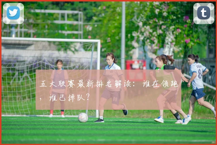 五大联赛最新排名解读：谁在领跑，谁已掉队？